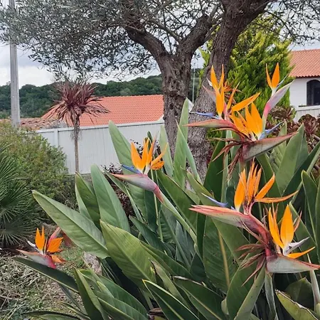 'kairos Casa' Not